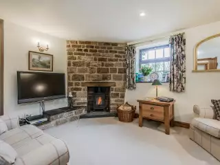 TV and log burner.jpg